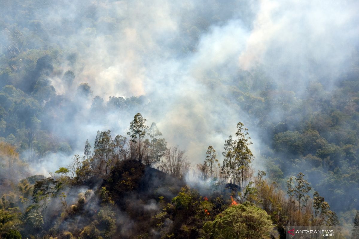KLHK: Hutan dan gambut terbakar hingga September totalnya 857.756 ha
