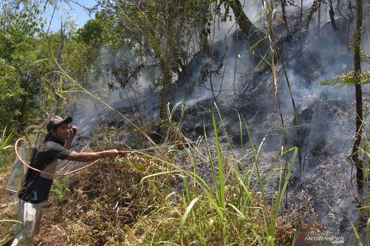 BBMKG Denpasar terbitkan peringatan dini waspada kebakaran hutan dan lahan di Bali