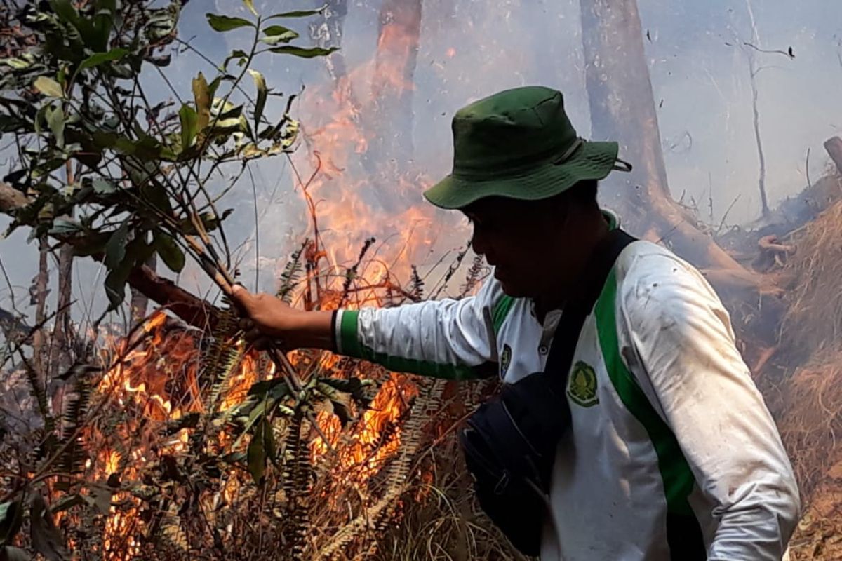 TN Gunung Rinjani: Para pendaki aman ketika hutan terbakar