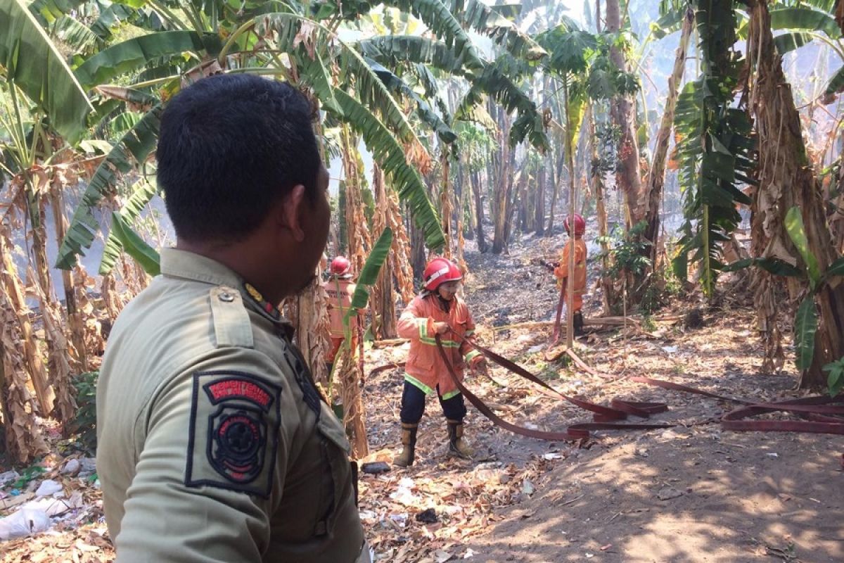 Pemicu kebakaran lahan di Kediri diduga puntung rokok