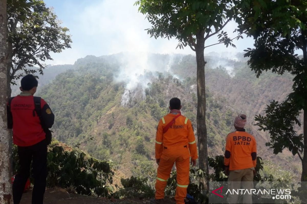 Climbing activities on Mount Argopuro stalled by wildfire