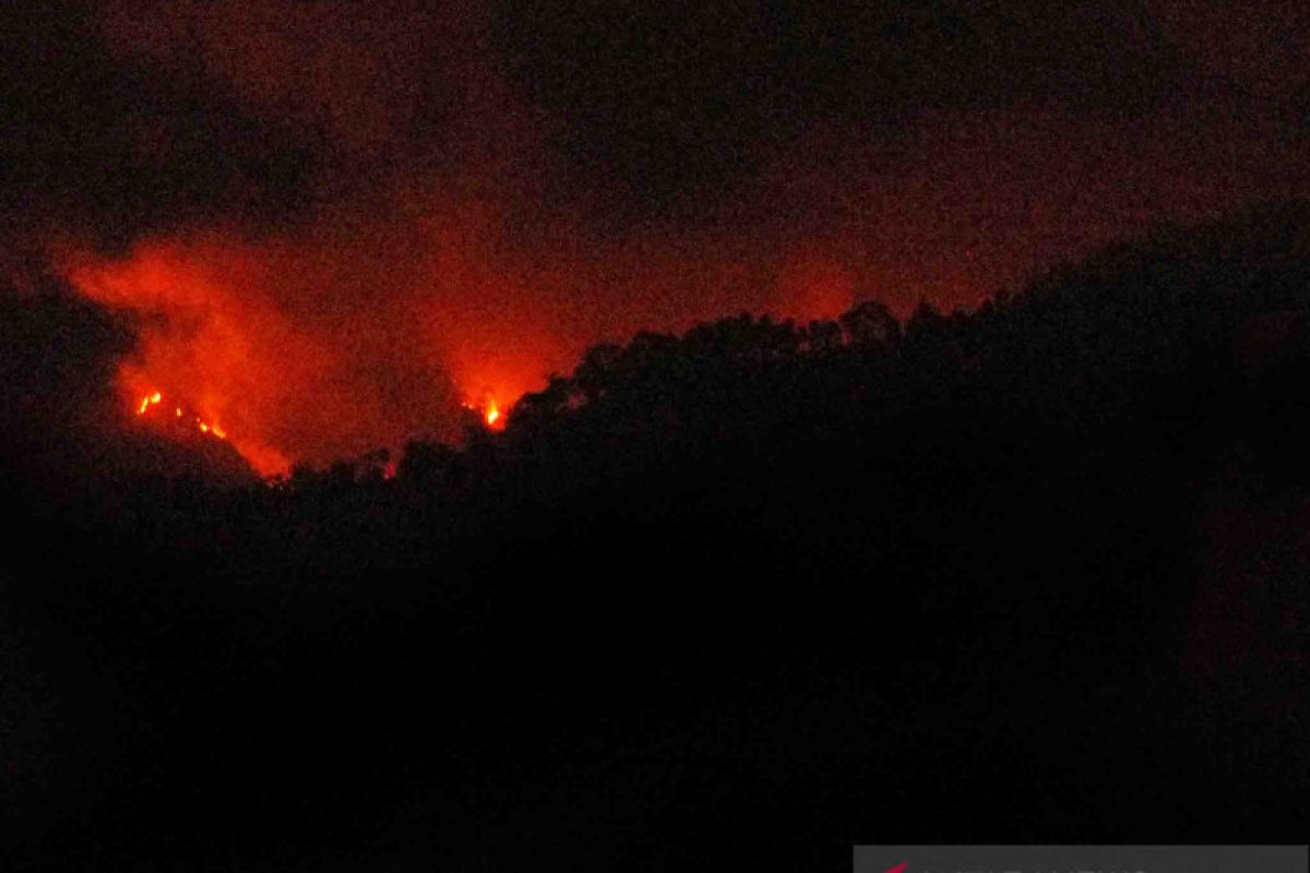 BPBD Jember bantu padamkan kekabaran di Argopuro