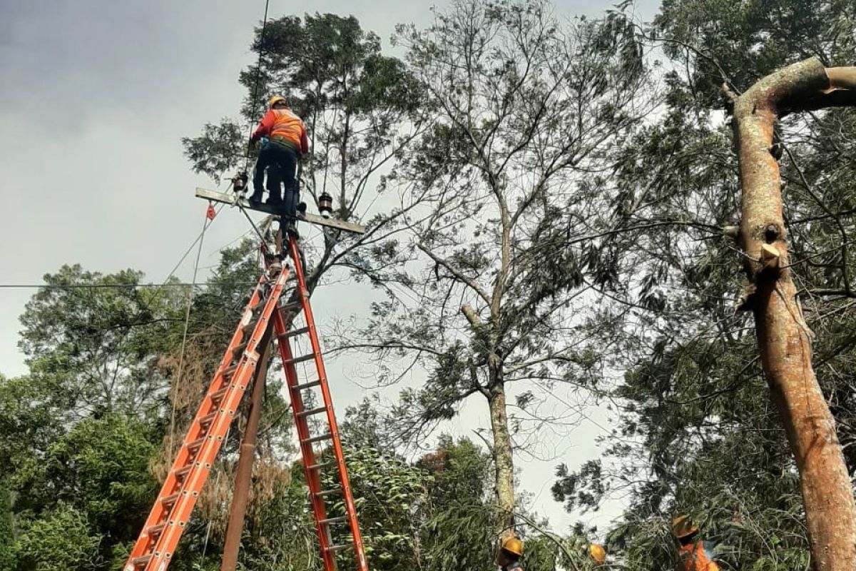 Dampak angin kencang, aliran listrik ribuan pelanggan di Kota Batu padam