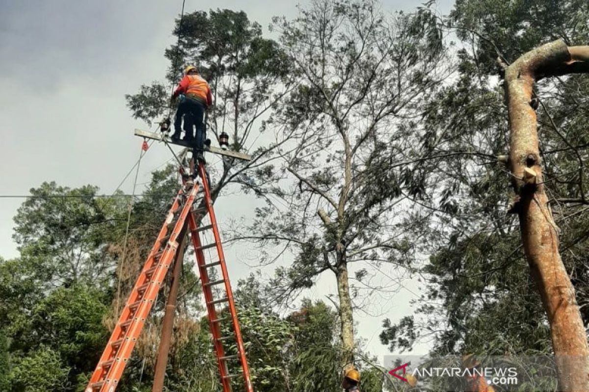 BPBD Mojokerto berikan bantuan kepada korban angin kencang