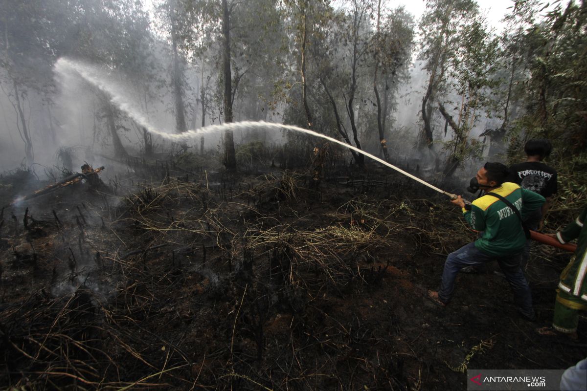 BRG koordinasi pencegahan kebakaran hutan dan lahan di Kalsel