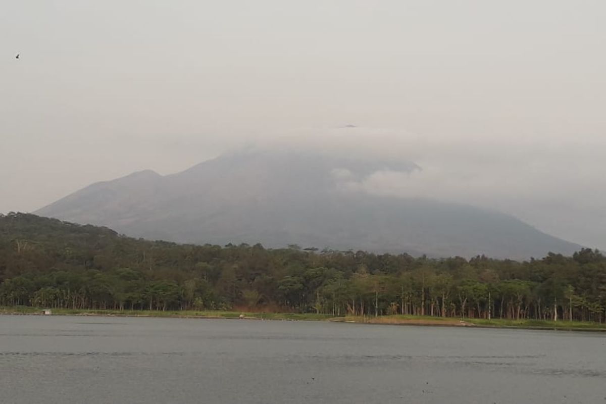 Hutan Gunung Lemongan Lumajang kembali terbakar