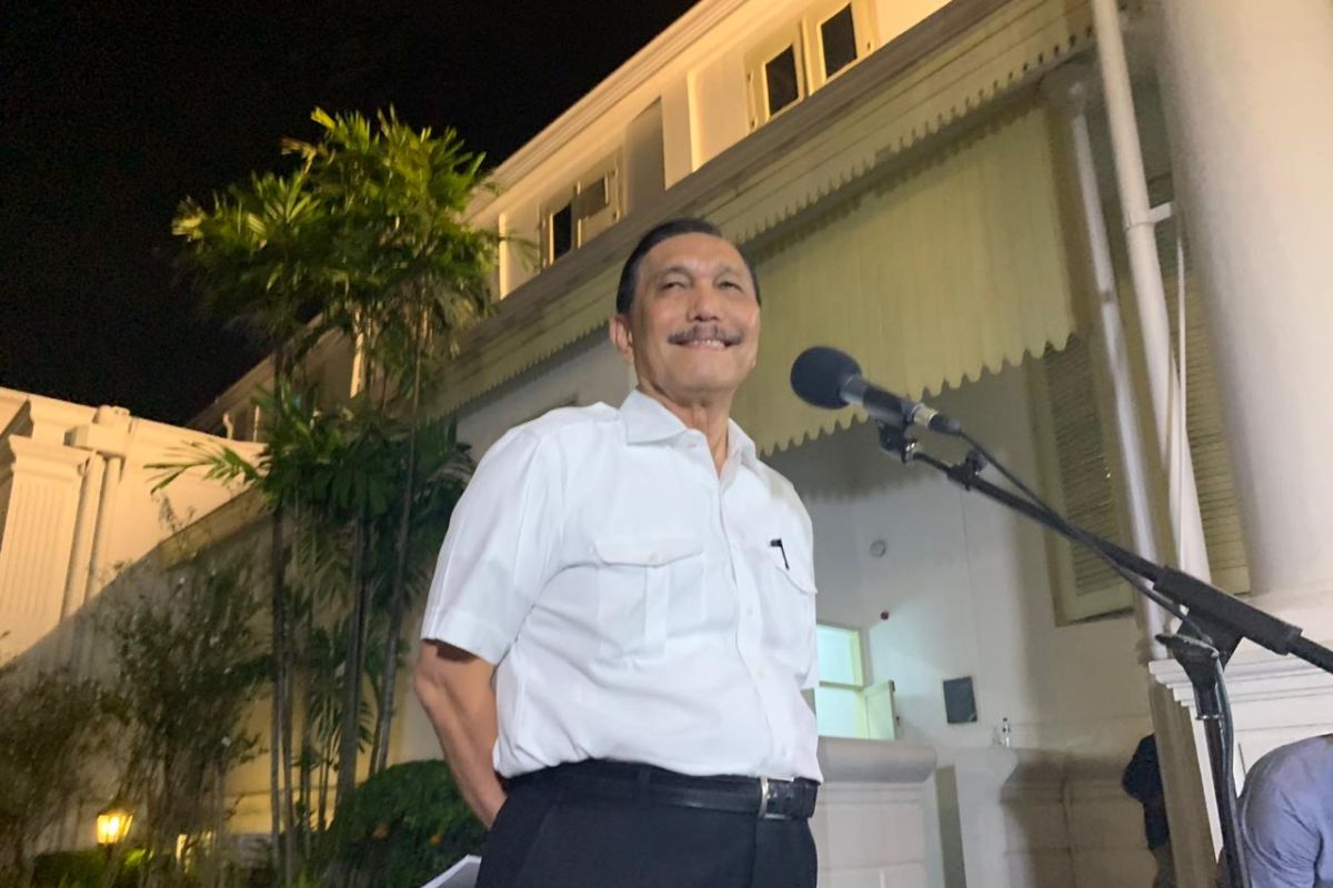 Luhut akui diminta Jokowi tangani kemaritiman dan investasi