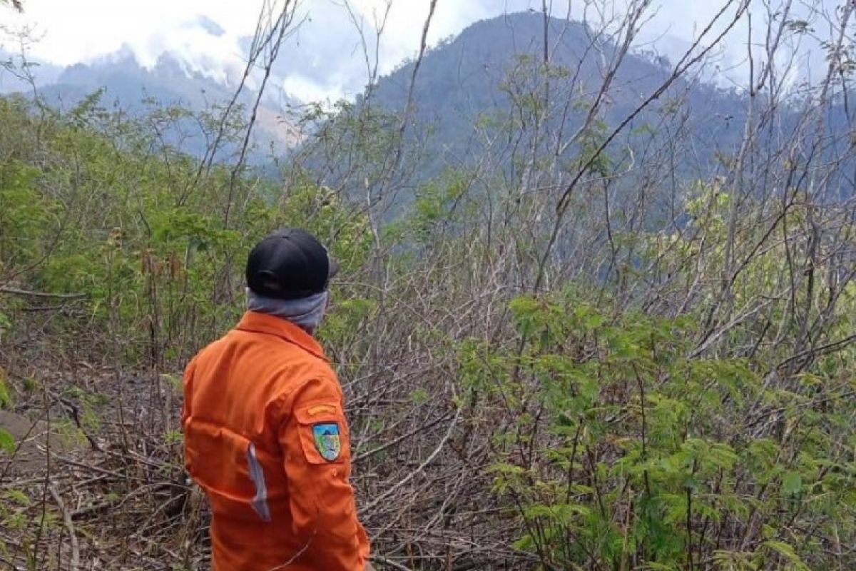 Kebakaran hutan Gunung Wilis di Kediri meluas