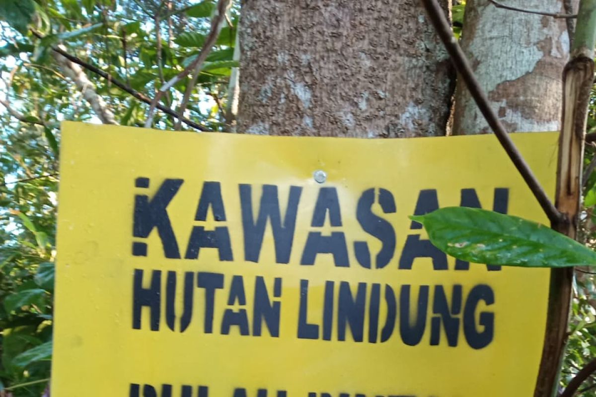 Warga Bintan desak tinjau ulang kawasan hutan