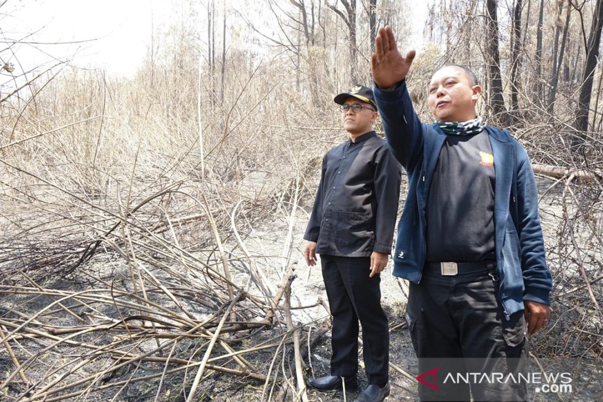 Bupati Banyuwangi minta bantuan 