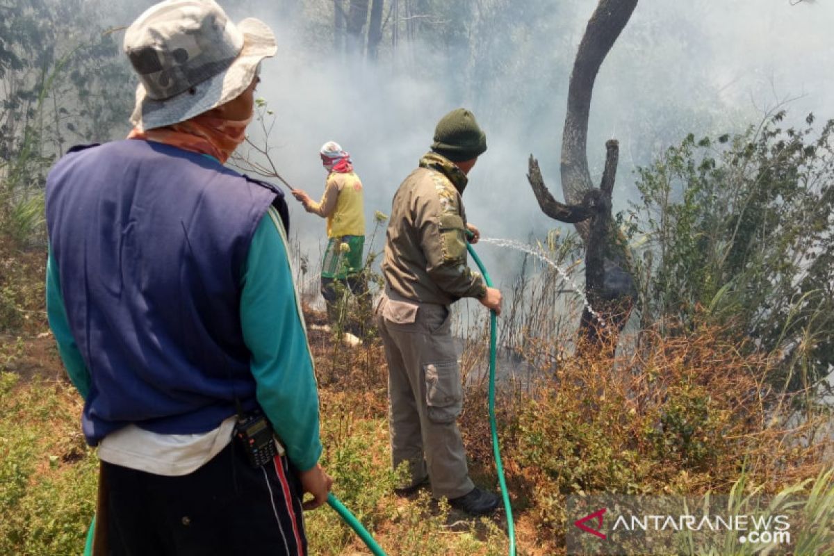 Karhutla di Tinggimoncong capai 10 hektare