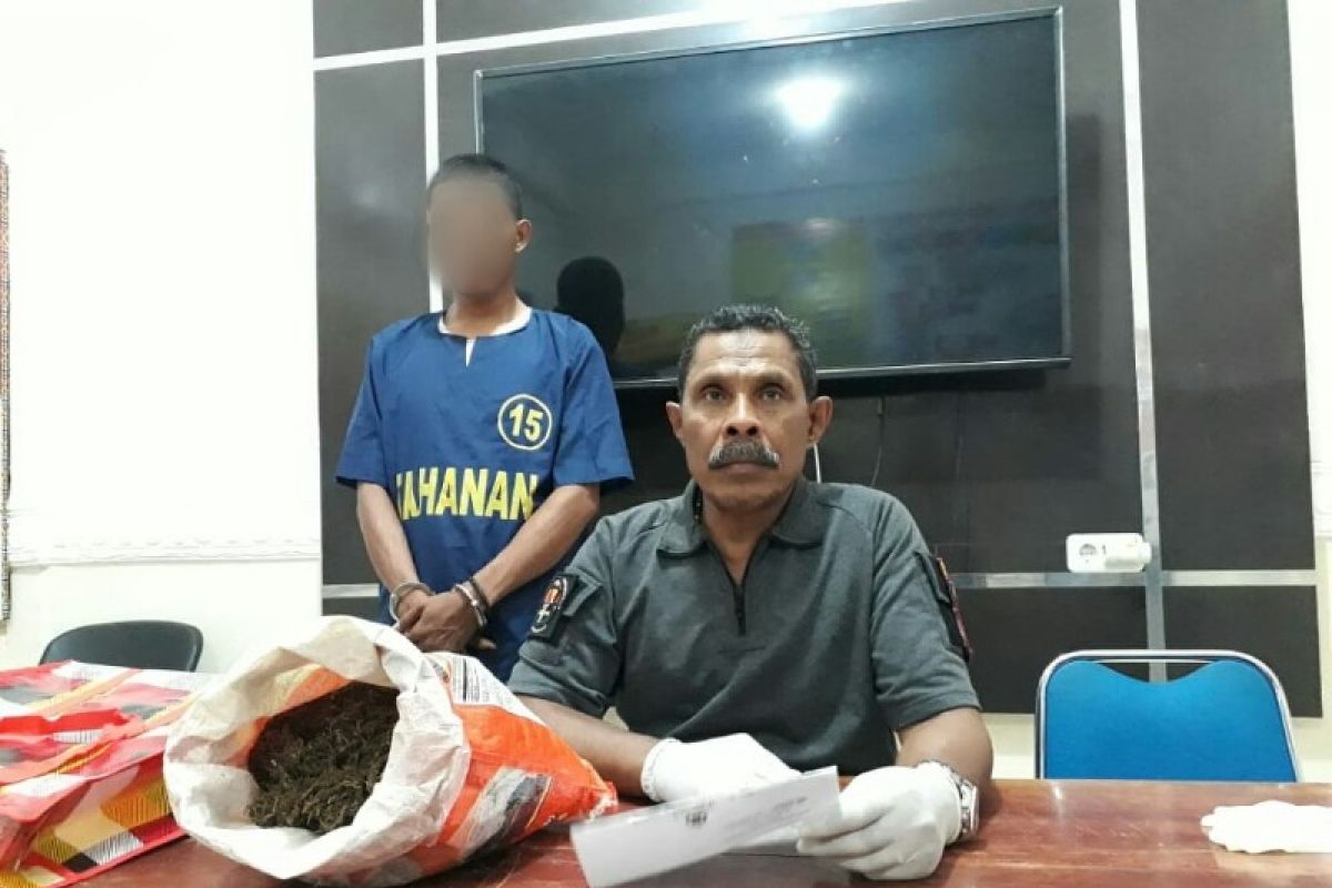 Polisi tangkap pengedar ganja di kawasan Argapura Jayapura