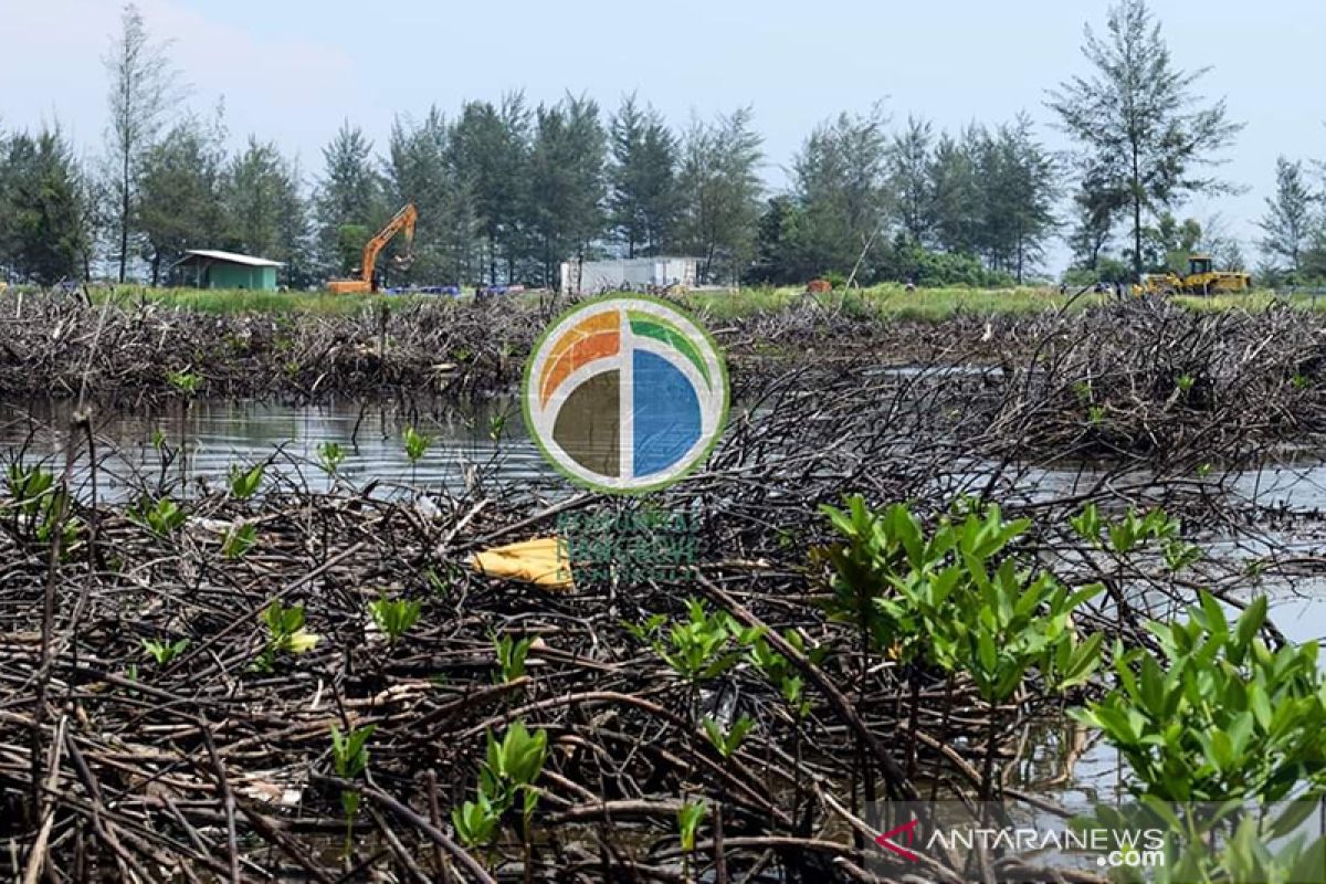 Penimbunan bakau untuk PLTU hilangkan pendapatan nelayan Bengkulu
