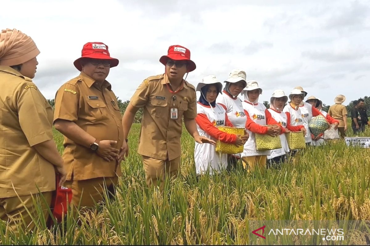 Distan Kubu Raya mendorong kalangan milenial untuk bangga bertani