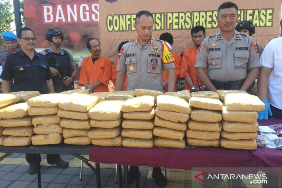 Polres Jembrana bongkar pengiriman 100 Kg ganja dari Jawa