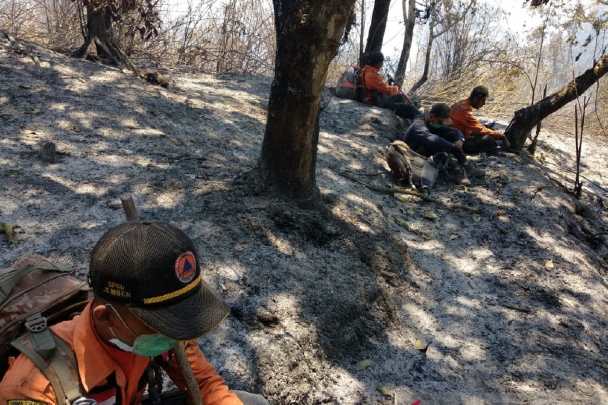 Tim penanganan karhutla terjebak kebakaran di Gunung Argopuro