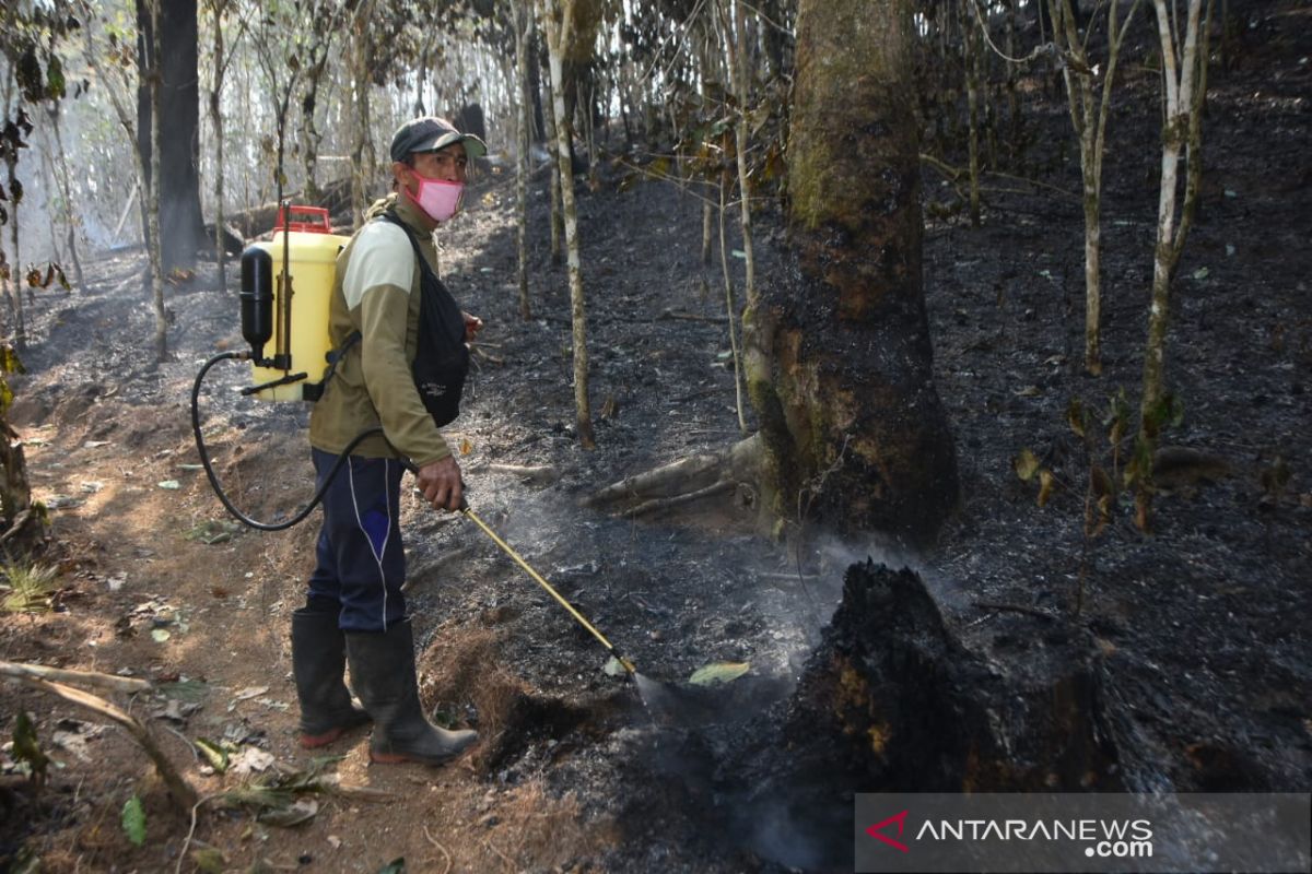 Kebakaran di kaki  Gunung Lompobattang Gowa belum padam