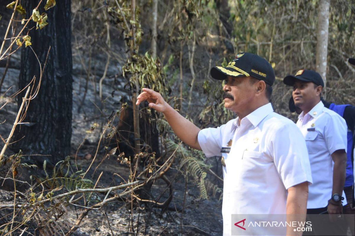 Wakil Bupati Gowa  tinjau area terdampak karhutla di Tompobulu