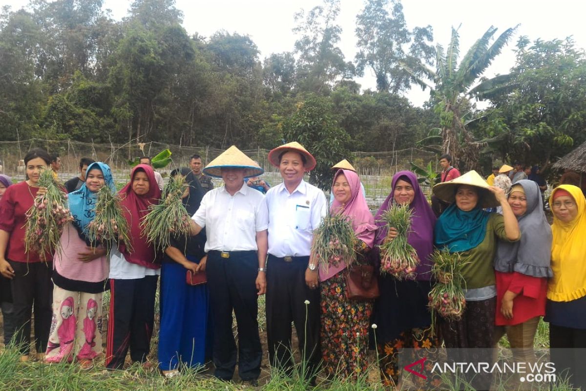 Bupati Bangka Tengah dorong pembudidayaan tanaman holtikultura