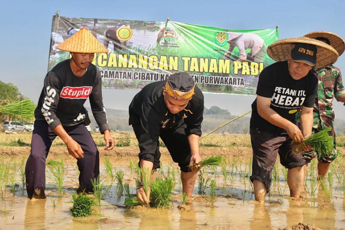 Sejak 2018 Purwakarta sudah lakukan langkah penyelamatan lahan pertanian