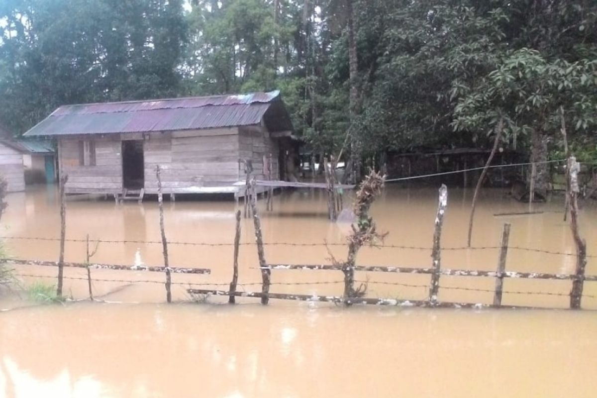Angin kencang sebabkan 11 desa di Aceh Barat terendam banjir