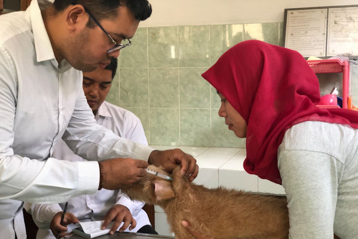 Warga Solok Selatan positif rabies usai digigit anjing liar