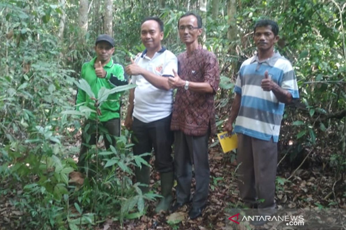 Kampung Jambuk Alokasikan Dana Perlindungan Hutan