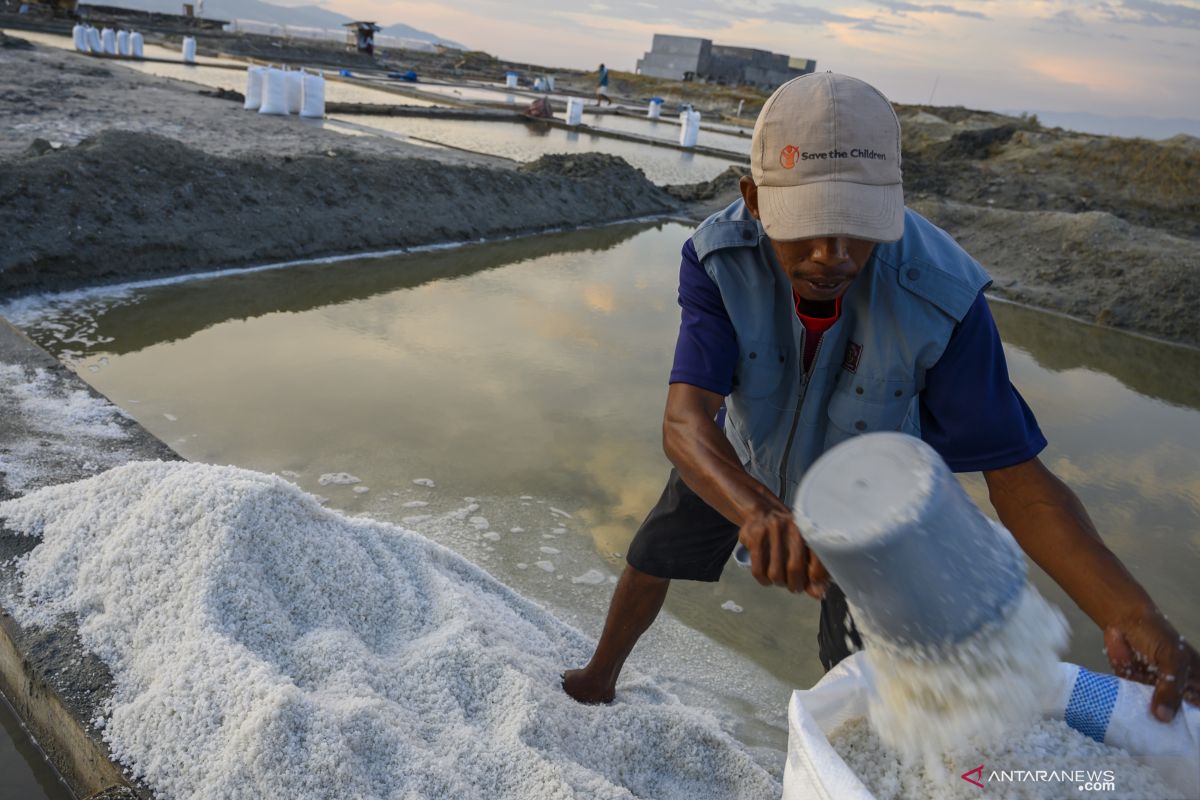 Distribusi pupuk subsidi di Sulteng harus diawasi ketat