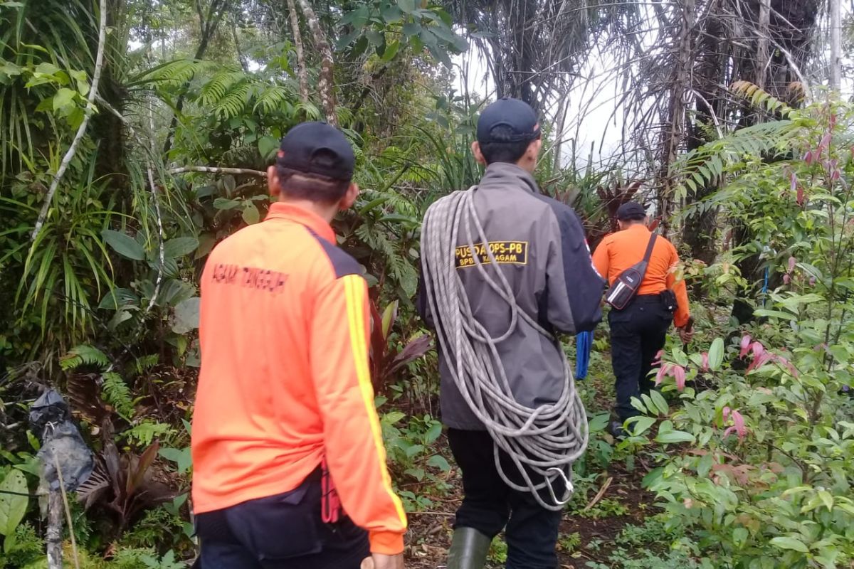 Kakek renta hilang di hutan Silayu Malalak