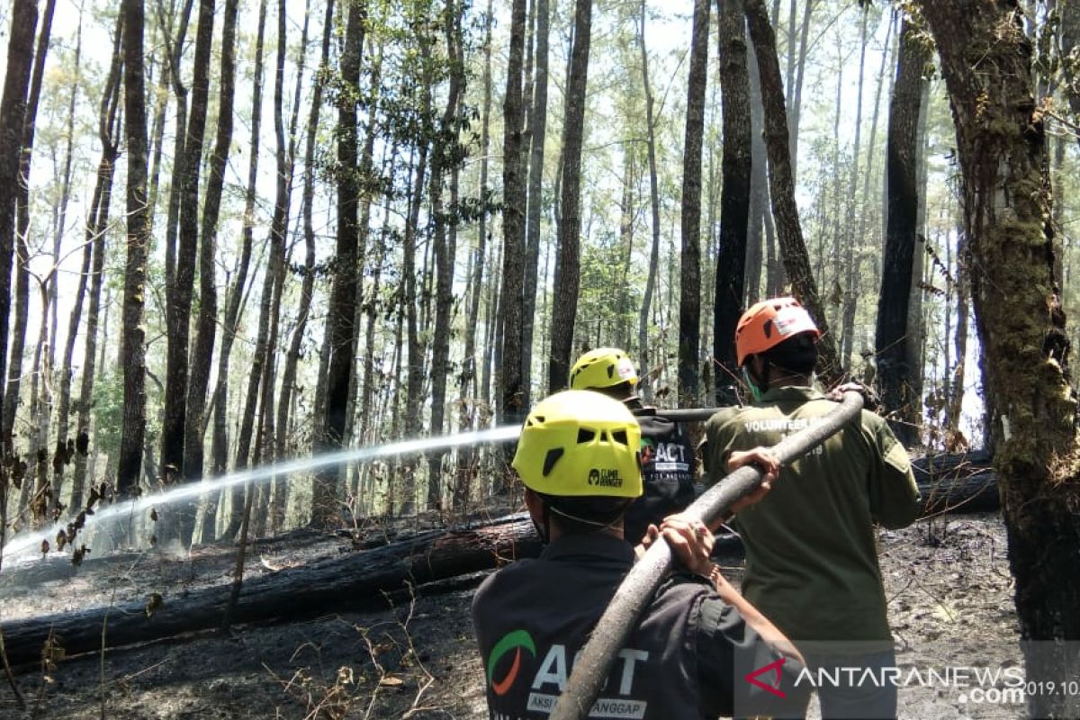 Kebakaran hutan di Kabupaten Gowa mulai padam