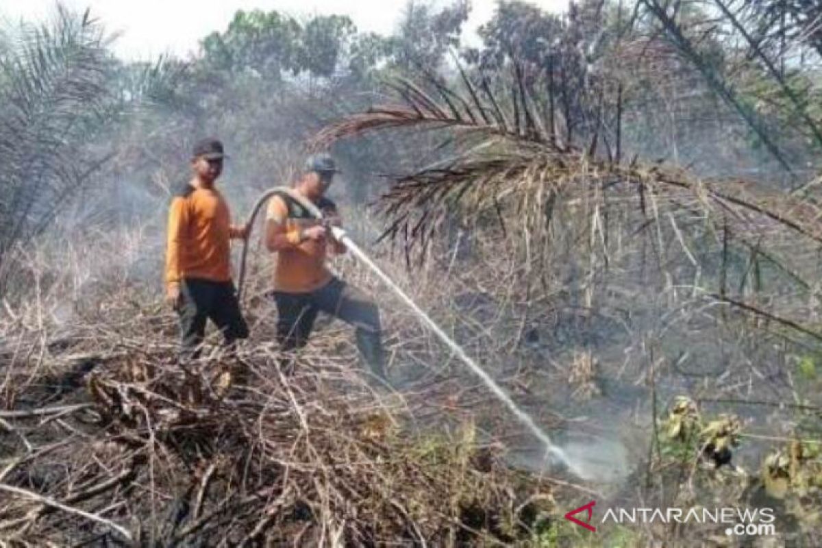Lahan gambut di Kabupaten Penajam  kembali terbakar