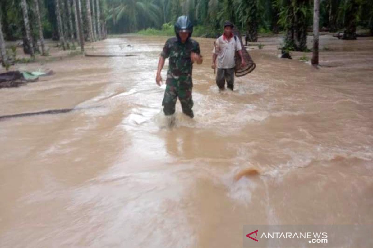 Ini dampak banjir Aceh Jaya terhadap sektor pertanian