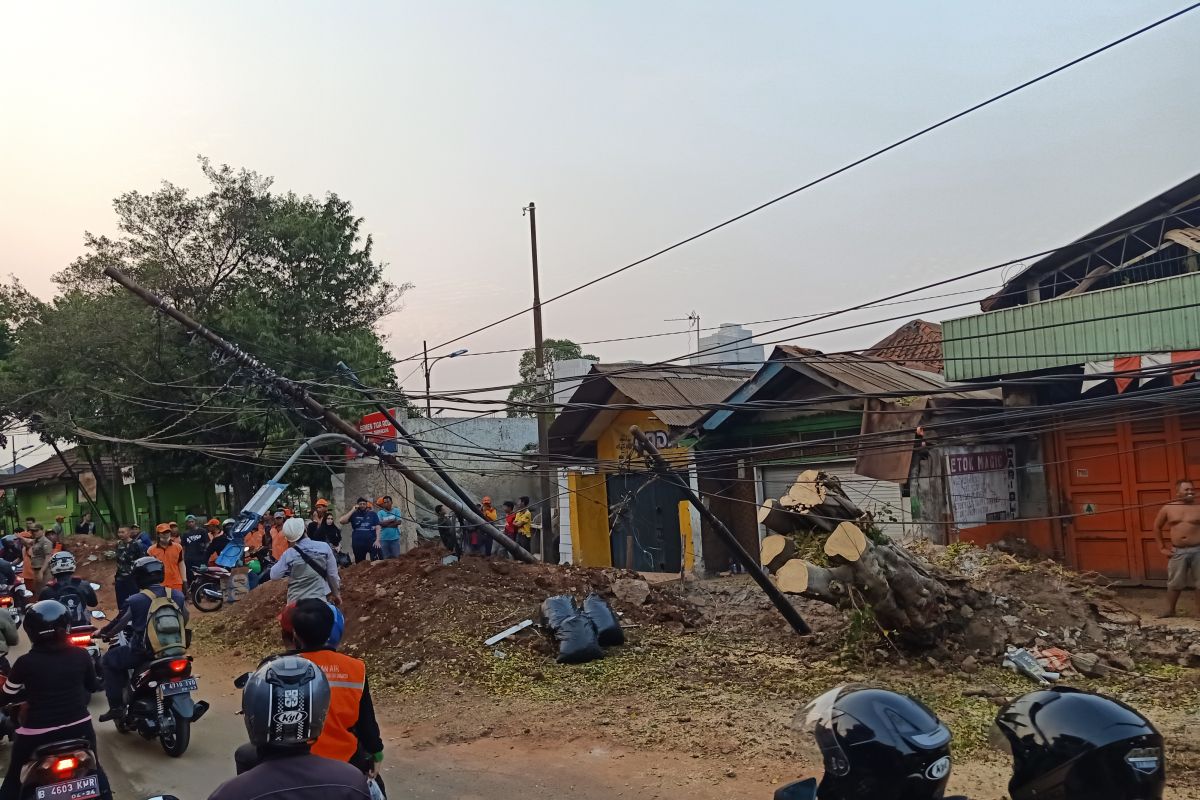 Aliran listrik di Halim terputus imbas pohon tumbang