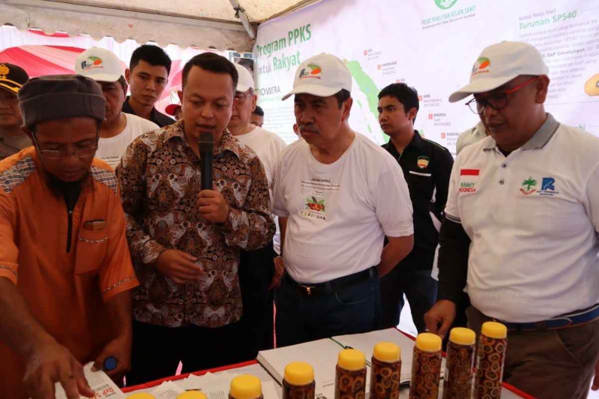 Apkasindo minta KLHK objektif terkait kawasan hutan