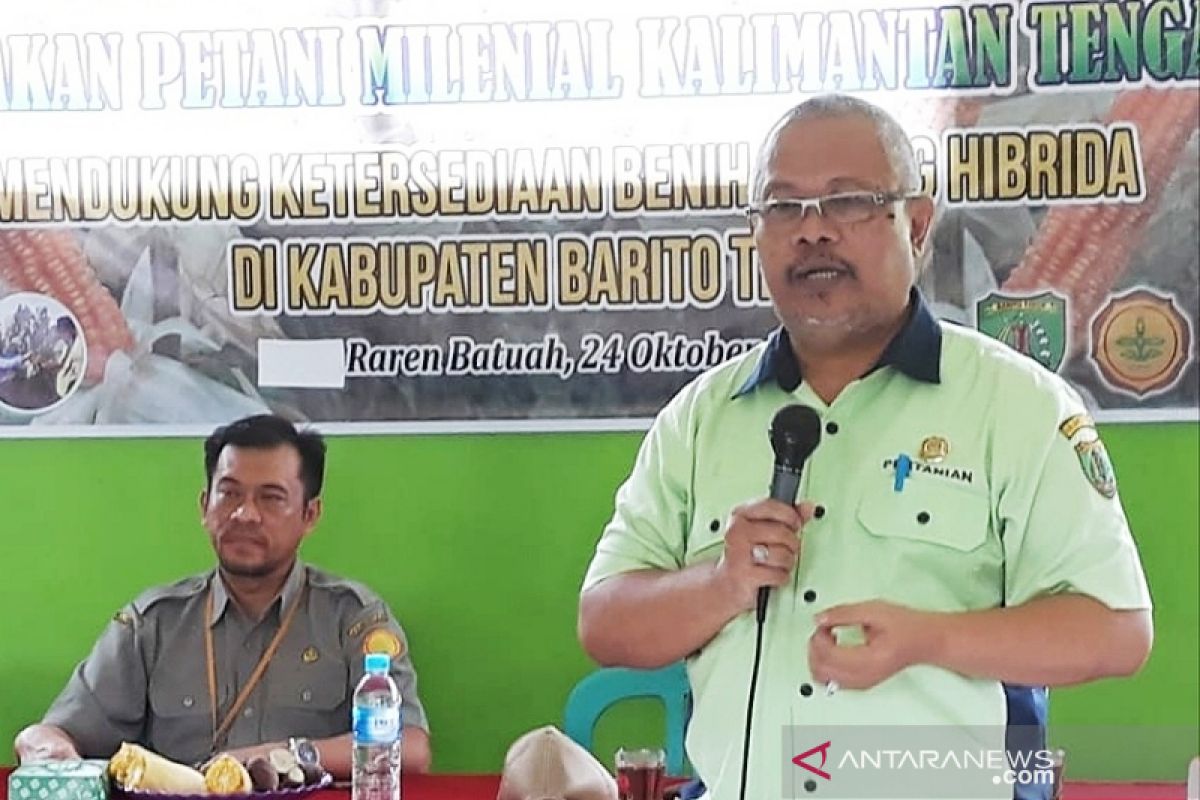 BPTP dan Distan gugah pemuda Bartim jadi petani jagung