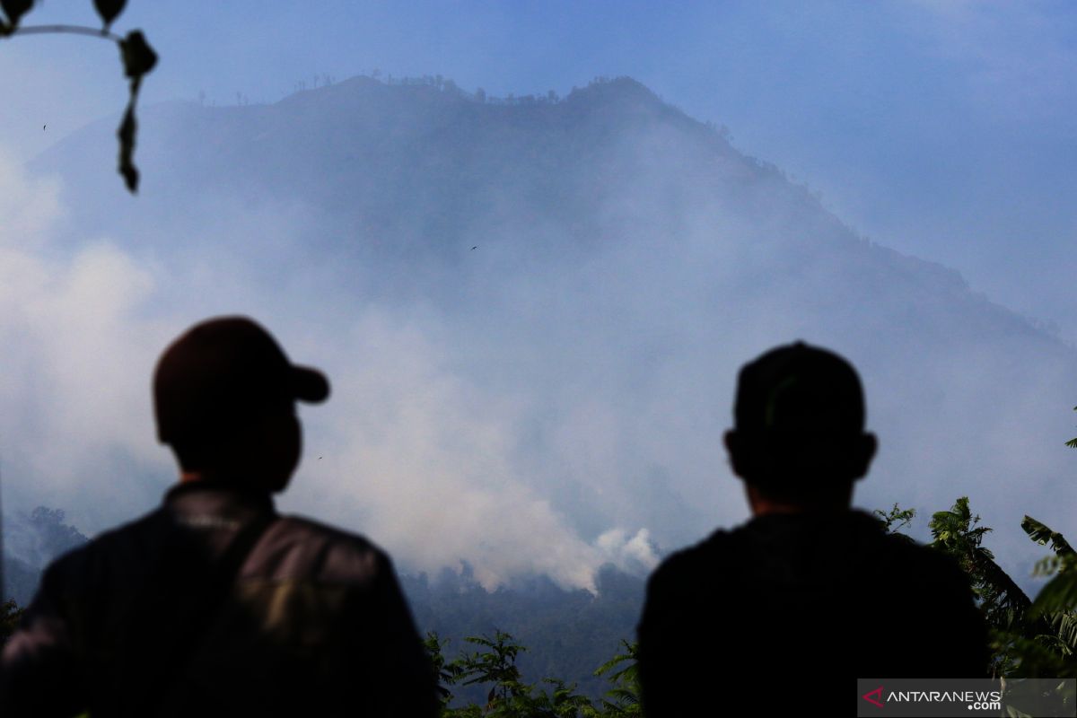 Kebakaran hutan Kawah Ijen dan Ranti capai seribuan hektare