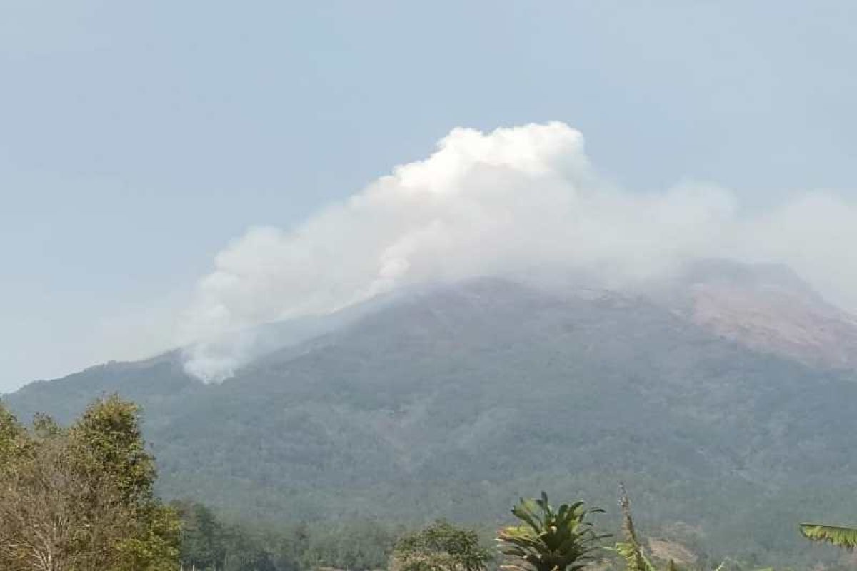 Kebakaran hutan Gunung Sumbing belum bisa dipadamkan