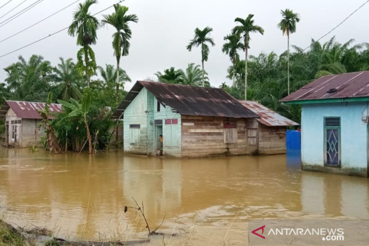 Banjir landa tujuh daerah di Aceh, kerugian sementara lebih Rp1 miliar