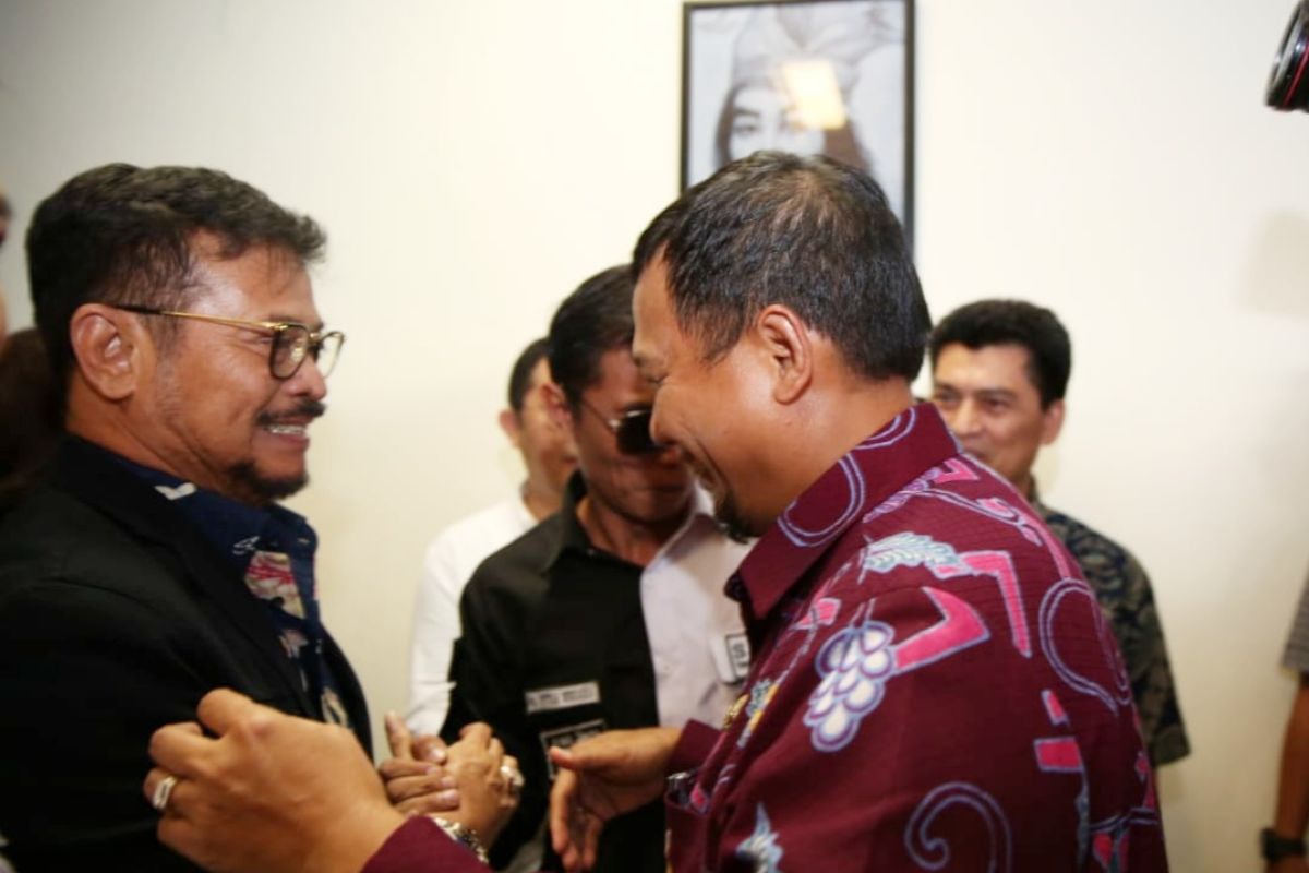 Pejabat Wali Kota Makassar sambut kedatangan Mentan SYL
