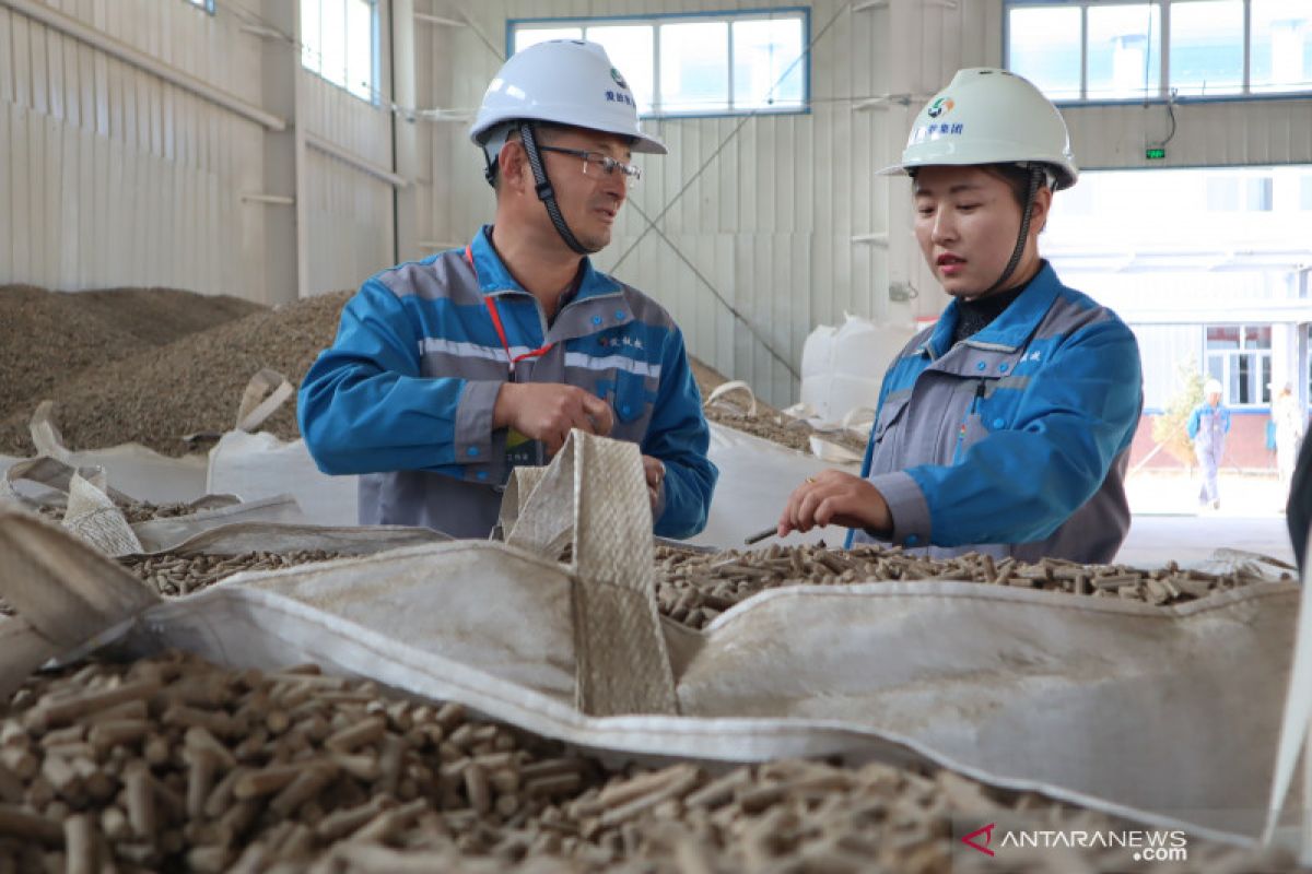 Potensi biomassa pengganti batu bara capai 20.925 ton