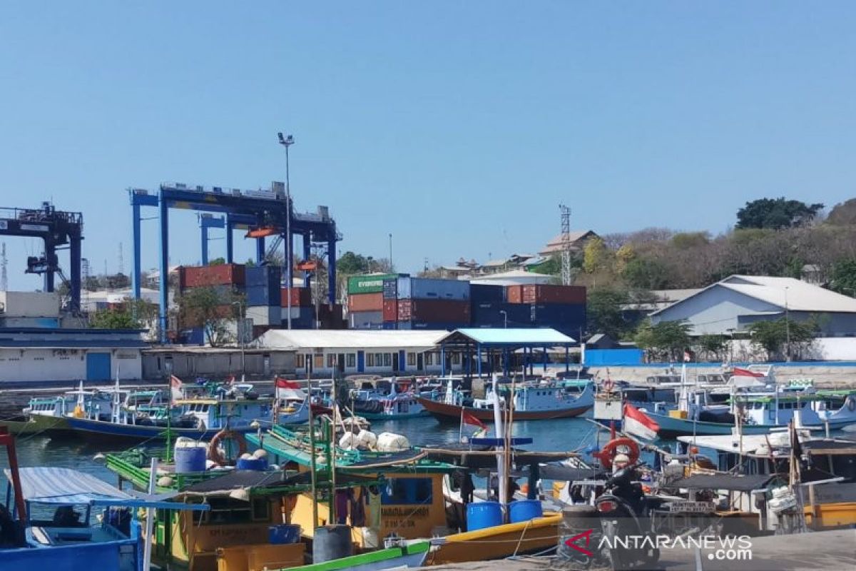 Nelayan Kupang siap kerahkan 100 kapal meriahkan Festival Mulut Seribu