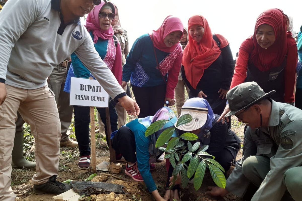 KPH Kusan selamatkan hutan di Tanah Bumbu