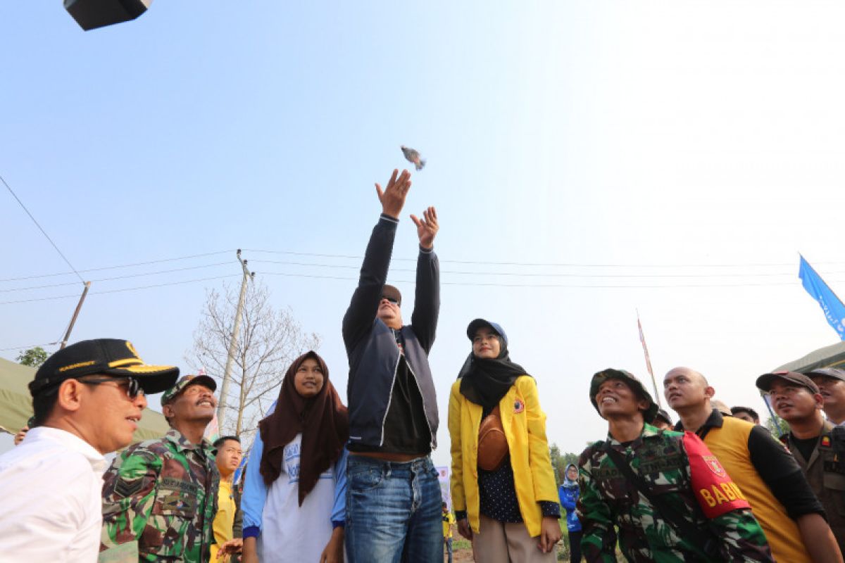 Ribuan milenial tanam pohon bersama Gubernur