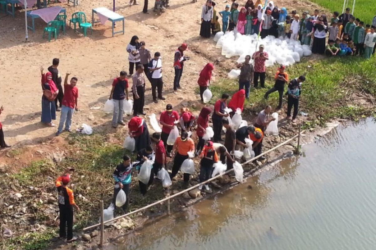 Disnakan OKU sebar 307 ribu benih ikan di Sungai Ogan