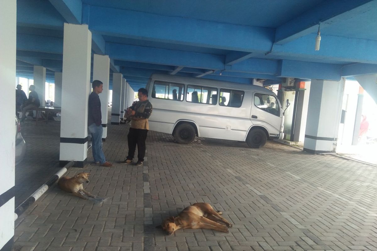 Tercatat 52 kasus gigitan hewan penular rabies dalam sembilan bulan di Mukomuko