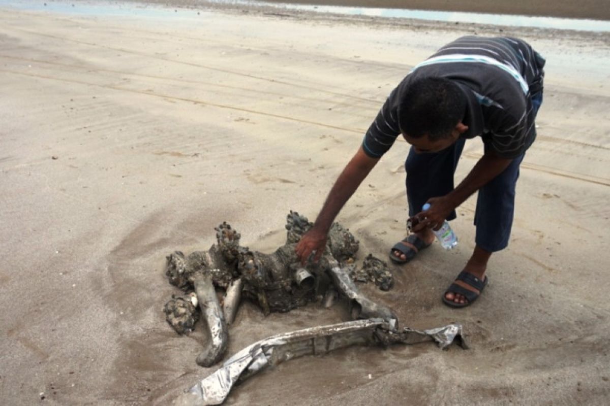 Peneliti: Di Kampung Domande Merauke ada serpihan pesawat tempur