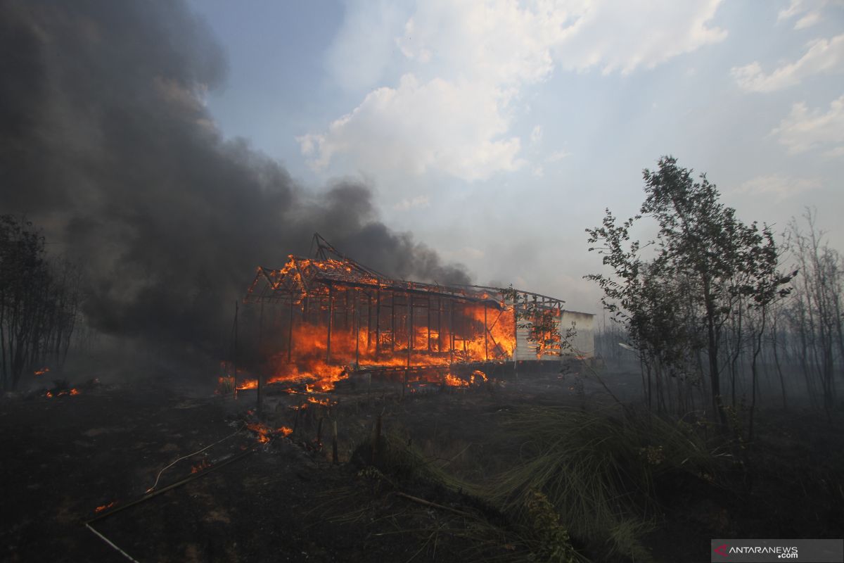 Sejumlah rumah di Banjar terbakar akibat karhutla