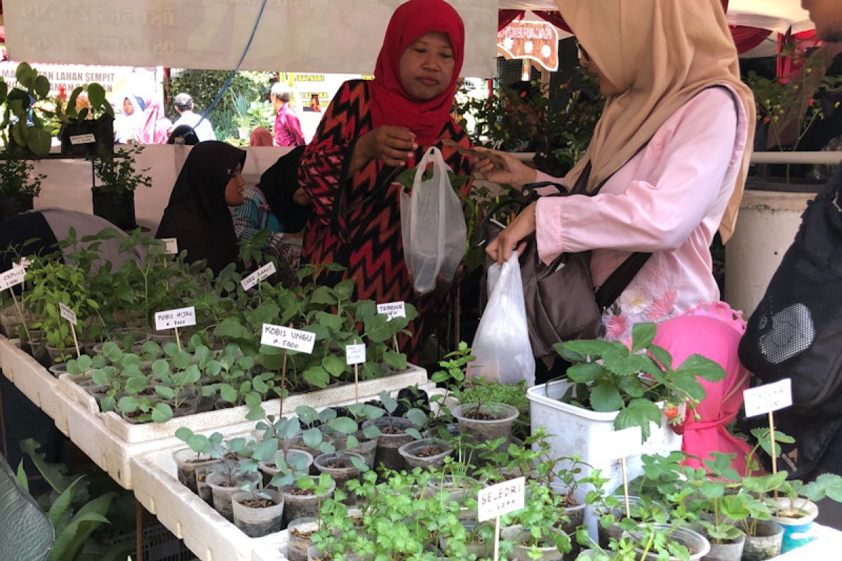 Pemkot Yogyakarta dorong kampung buat taman sayur