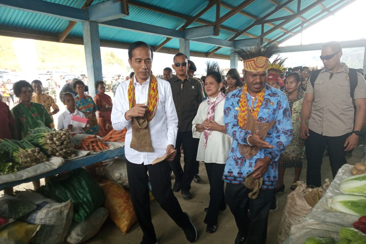 Presiden Jokowi minta waktu dua tahun bangun Bandara Pegunungan Arfak