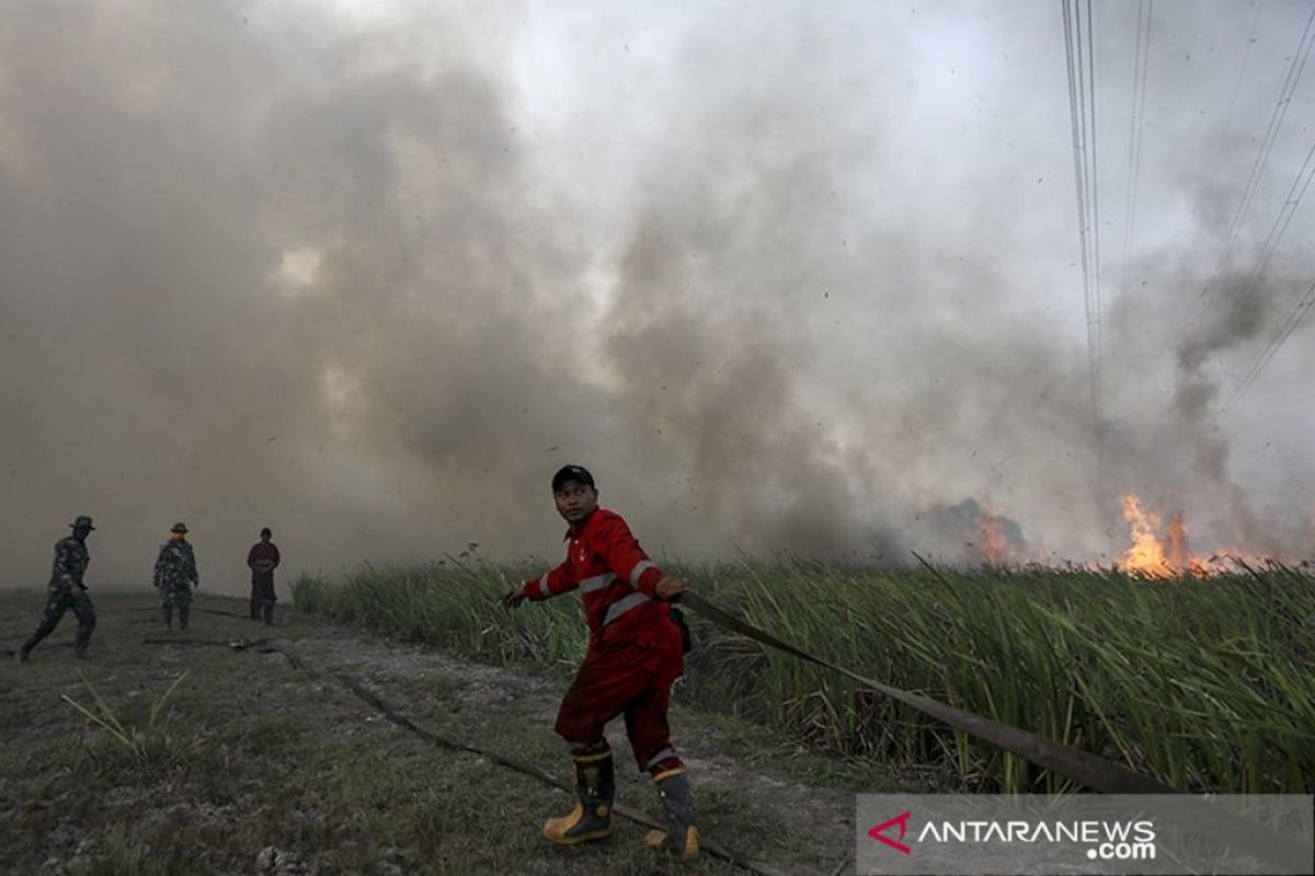 Hujan diperkirakan mulai guyur Sumsel akhir Oktober